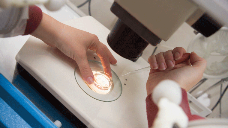 micro injecao gametas