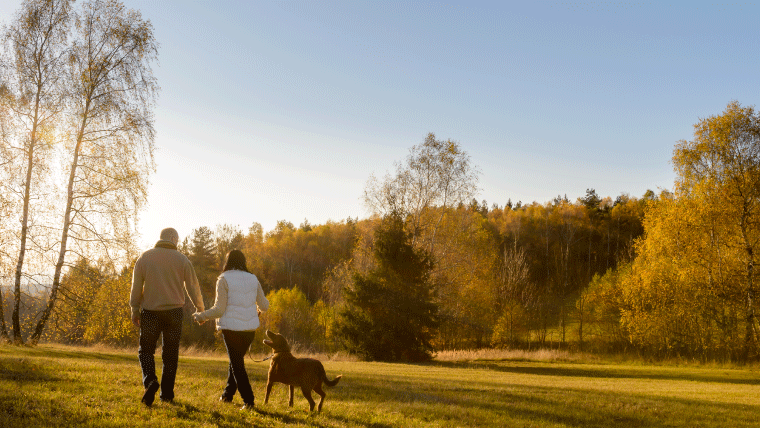 menopausa-uma-transicao-serena