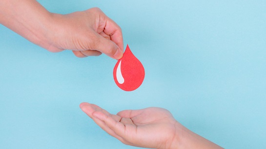 5 Perguntas e respostas sobre sangue