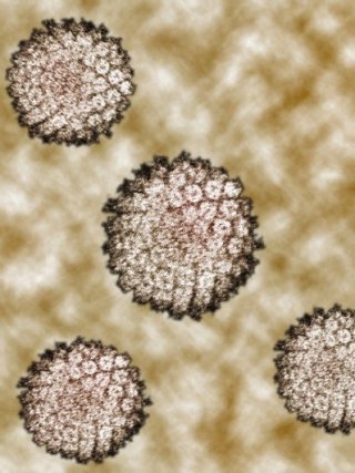 hpv